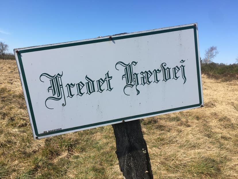 Guidet tur – Hærvejen – Runesten, spor i naturen og historien